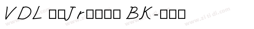 VDL ロゴJrブラック BK字体转换